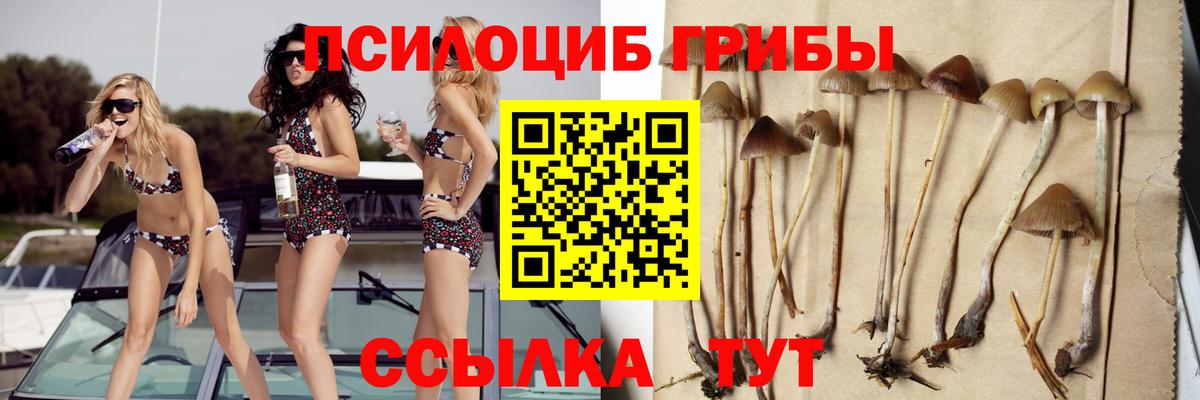 Самара  Псилоцибиновые грибы Psilocybine cubensis  Вход с VPN 